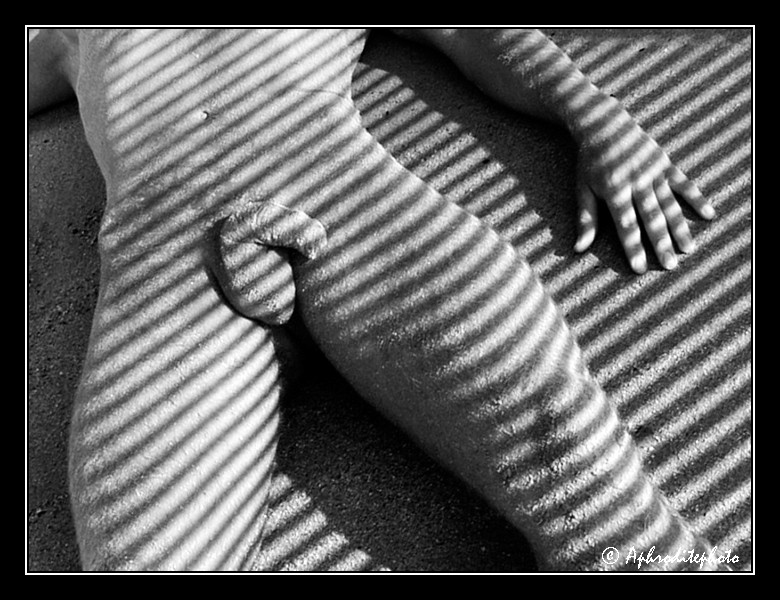 206 Stries sur le sable 12
